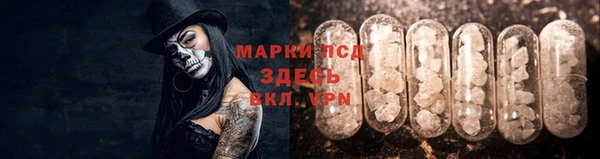 ПСИЛОЦИБИНОВЫЕ ГРИБЫ Володарск