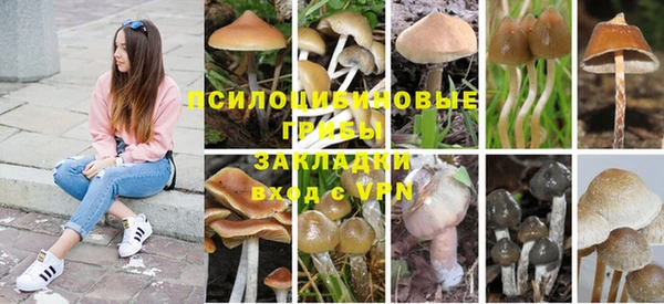 Альфа ПВП Струнино