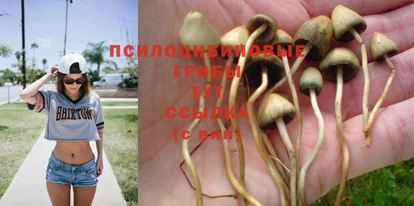 мяу мяу мука Волосово