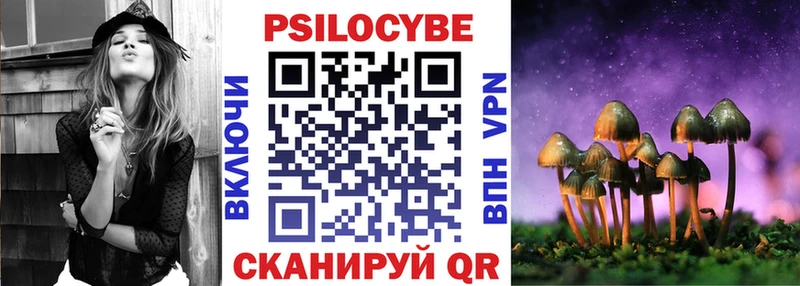 наркотики  Калтан  Псилоцибиновые грибы Psilocybe 
